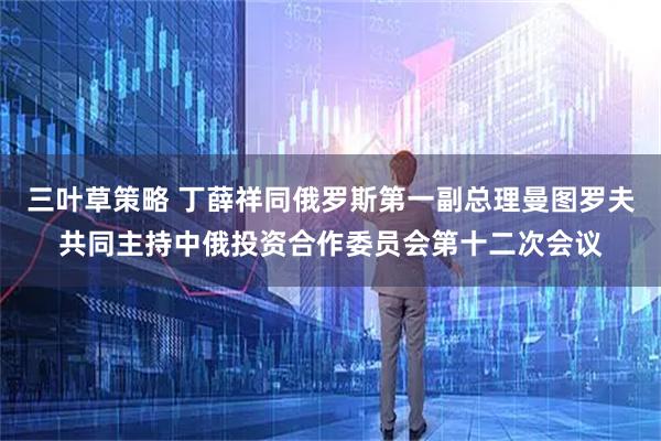 三叶草策略 丁薛祥同俄罗斯第一副总理曼图罗夫共同主持中俄投资合作委员会第十二次会议